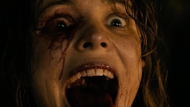 Linda Liddle after a fight with Bradley in Send Help movie